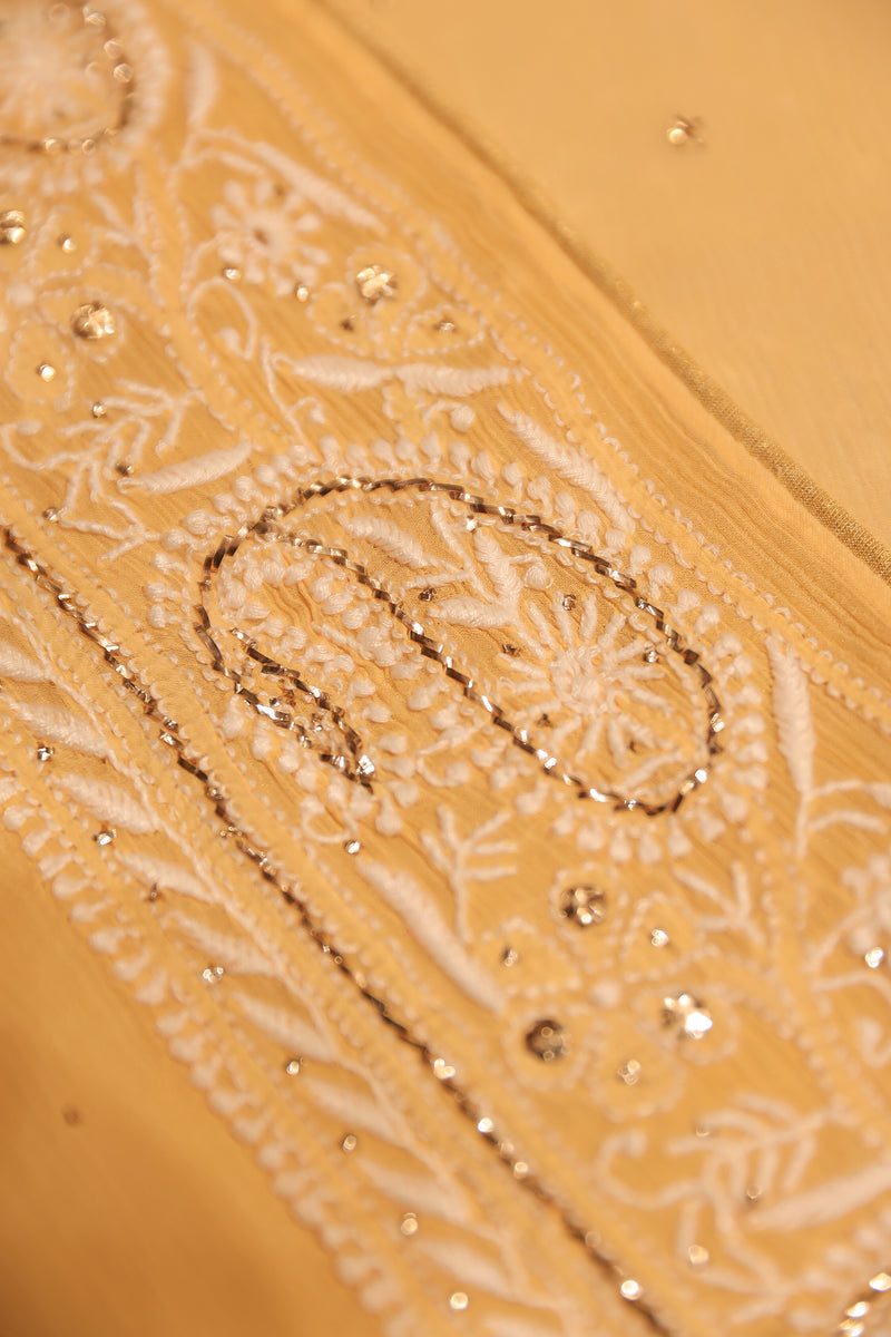 Rabab Pure Chiffon Chikankari Saree – Noorkari